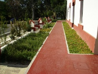 Itinerario exterior con pavimento diferenciado